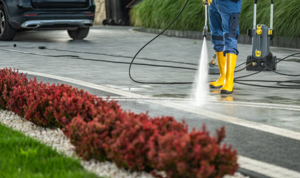 Best Fence Pressure Washing  in Union Springs, NY